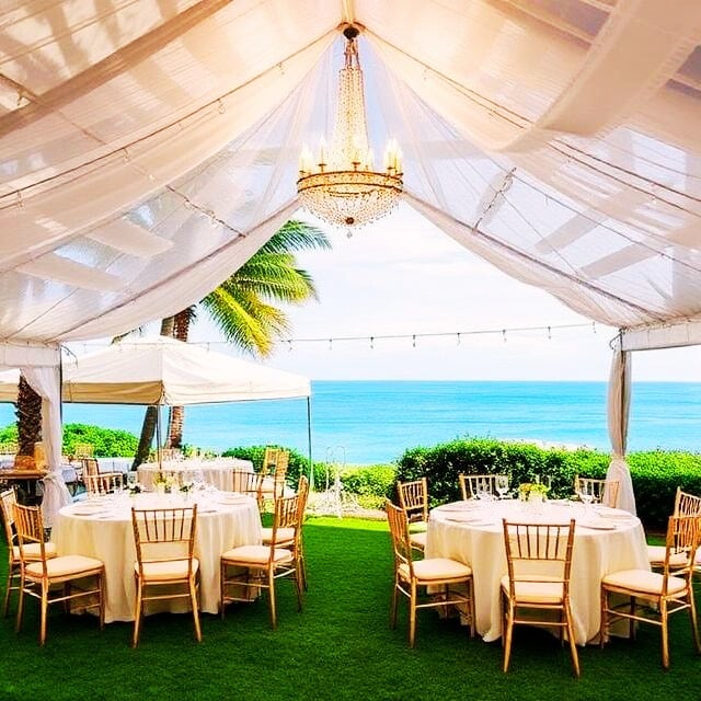 Future Phase Highlight